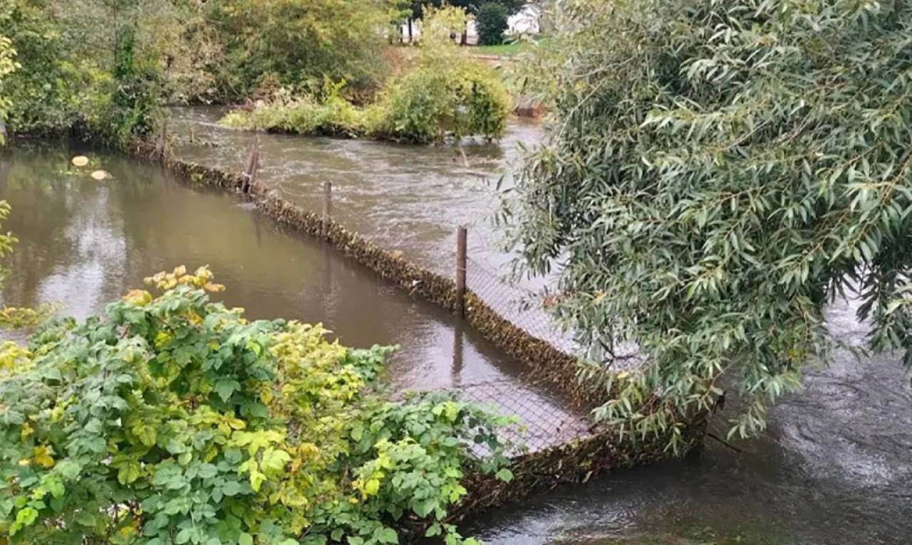 Река затопила Сморгонь из-за... бобров