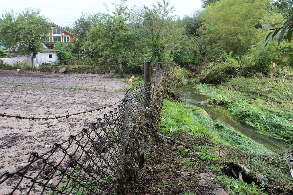 Река затопила Сморгонь из-за... бобров