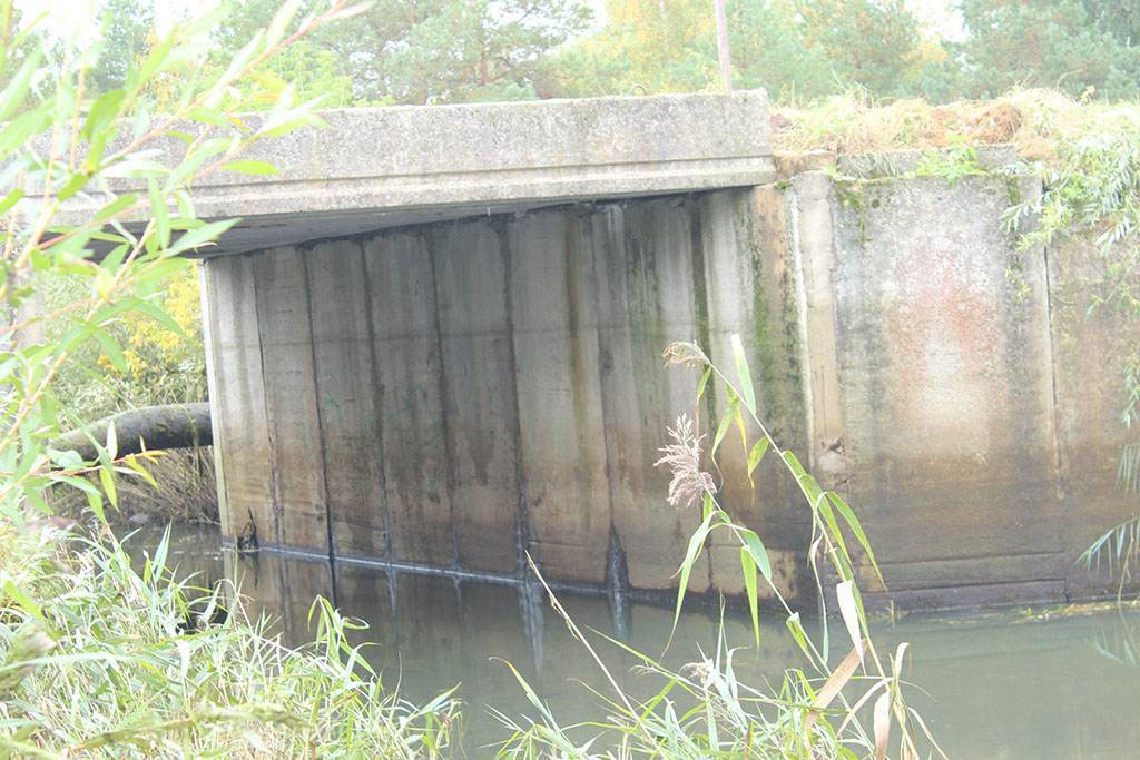 Река затопила Сморгонь из-за... бобров