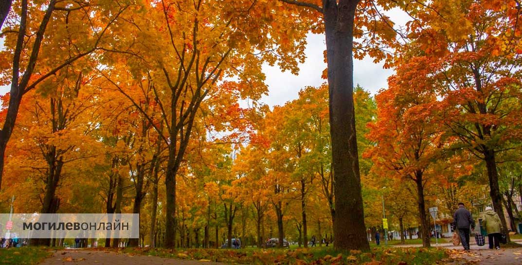 Синоптик Дмитрий Рябов дал прогноз погоды в Могилеве на неделю с 19 по 25 сентября