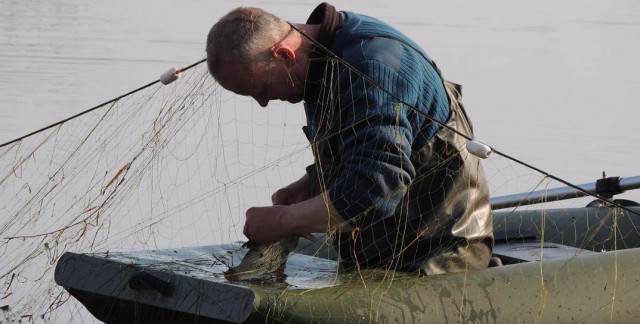 Вот это порыбачил! В Быховском районе поймали могилевчанина, который незаконно ловил рыбу. Теперь ему грозит до трех лет тюрьмы