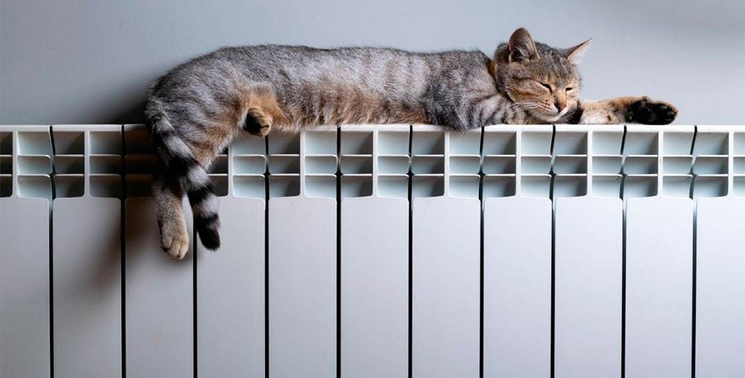 В Министерстве ЖКХ рассказали, когда в Беларуси включат отопление