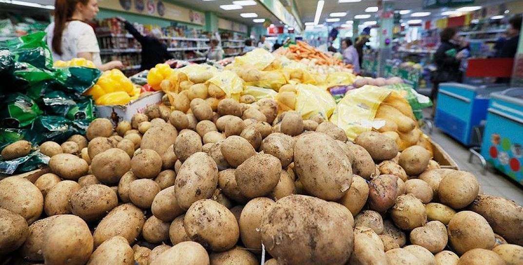 В правительстве Беларуси пообещали не поднимать цены на овощи