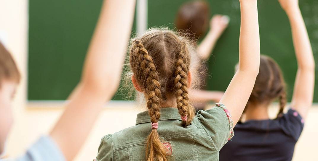 «Нам чужды европейские ценности». В Минобразования пообещали жестко контролировать работу по семейному воспитанию в школах