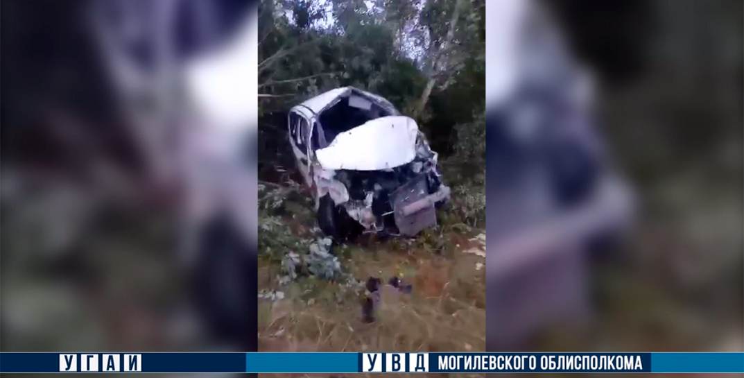 Пьяный водитель в Кличевском районе потерял управление: автомобиль вылетел в лесополосу и жестко разбился