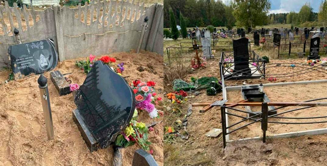 Стадо коров разгромило кладбище в Полоцком районе