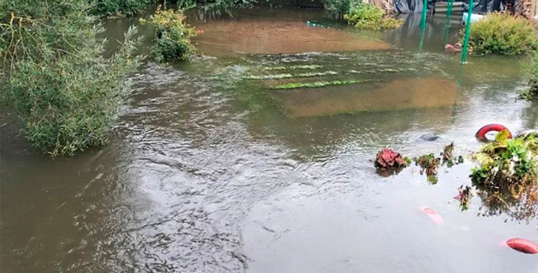 Река затопила Сморгонь из-за… бобров
