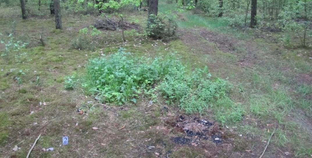 В мае 2014-го в лесу под Пружанами обнаружили обгоревший труп девушки. Ее изнасиловал, убил и сжег житель Бреста, которого нашли спустя 7 лет