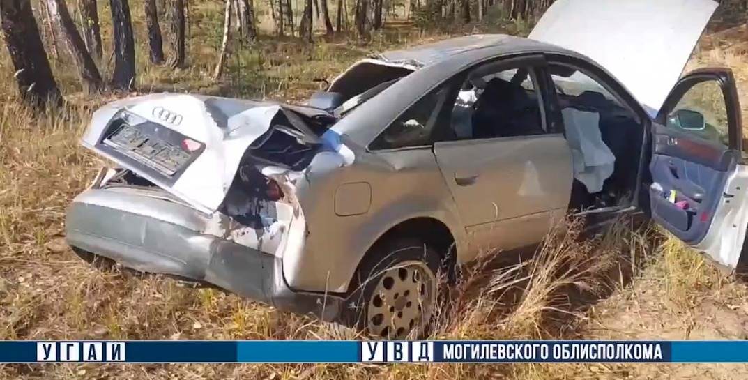 В Осиповичском районе перевернулся автомобиль — погиб водитель