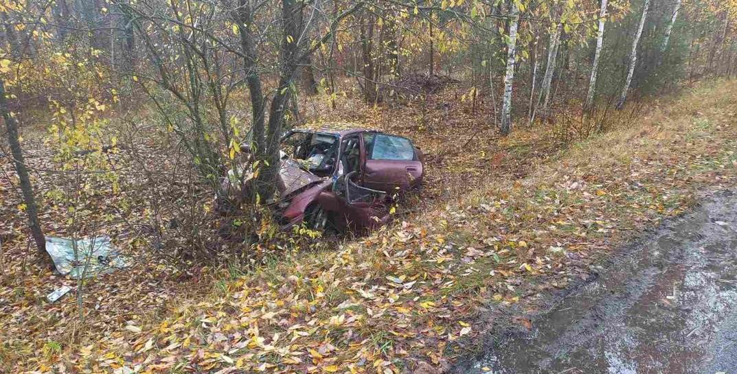 В Глусском районе пьяный водитель врезался в дерево — пострадал сам, в больнице также пассажирка