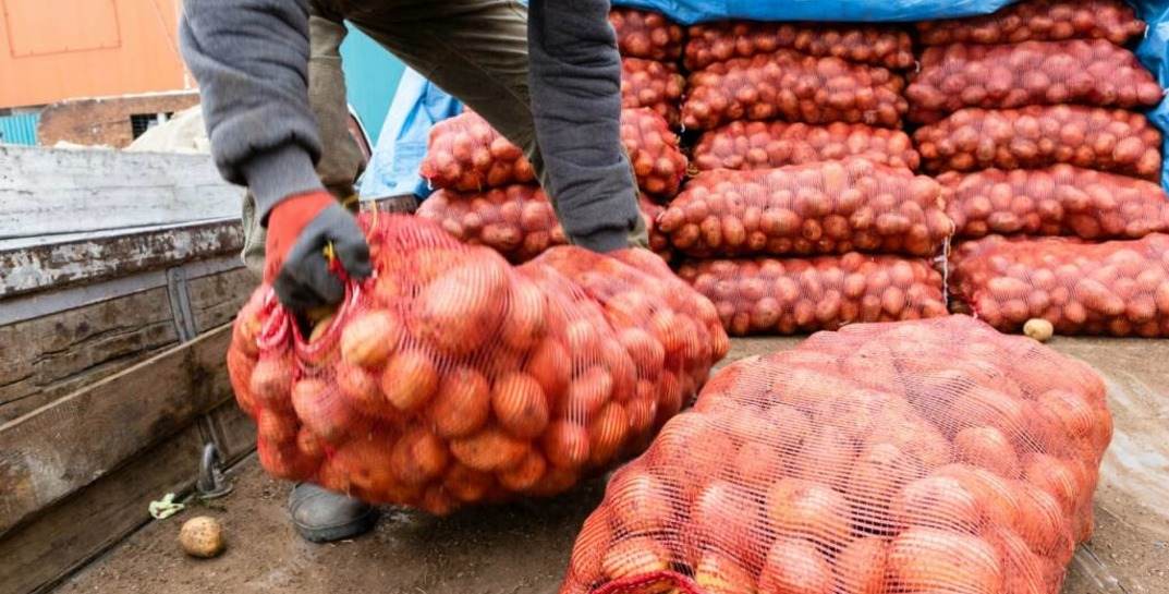 В Могилеве в ближайшие выходные будут работать две сельхозярмарки. Смотрите, где именно