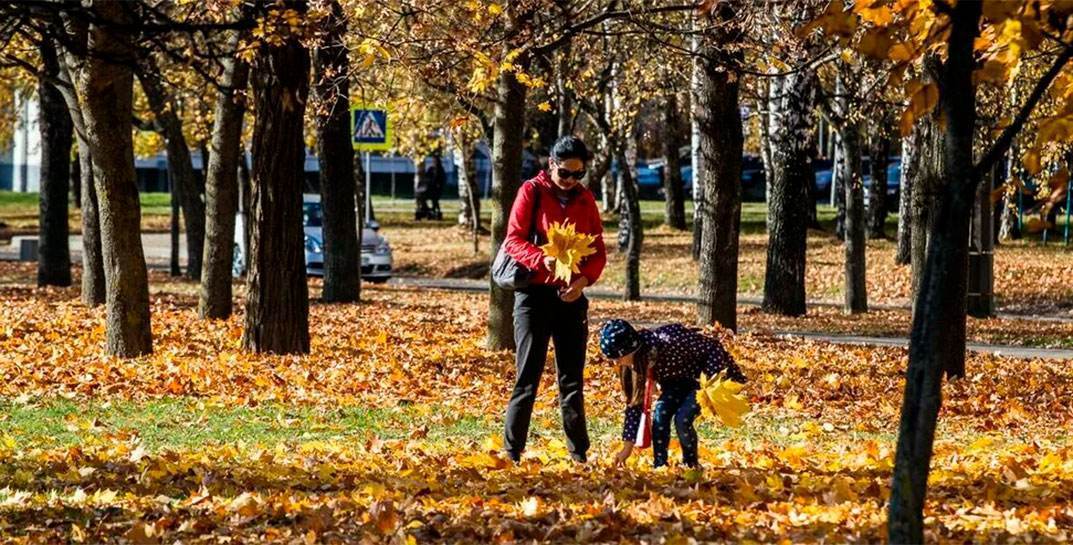 Тепло и наконец без дождей. Погода в Могилеве на пятницу