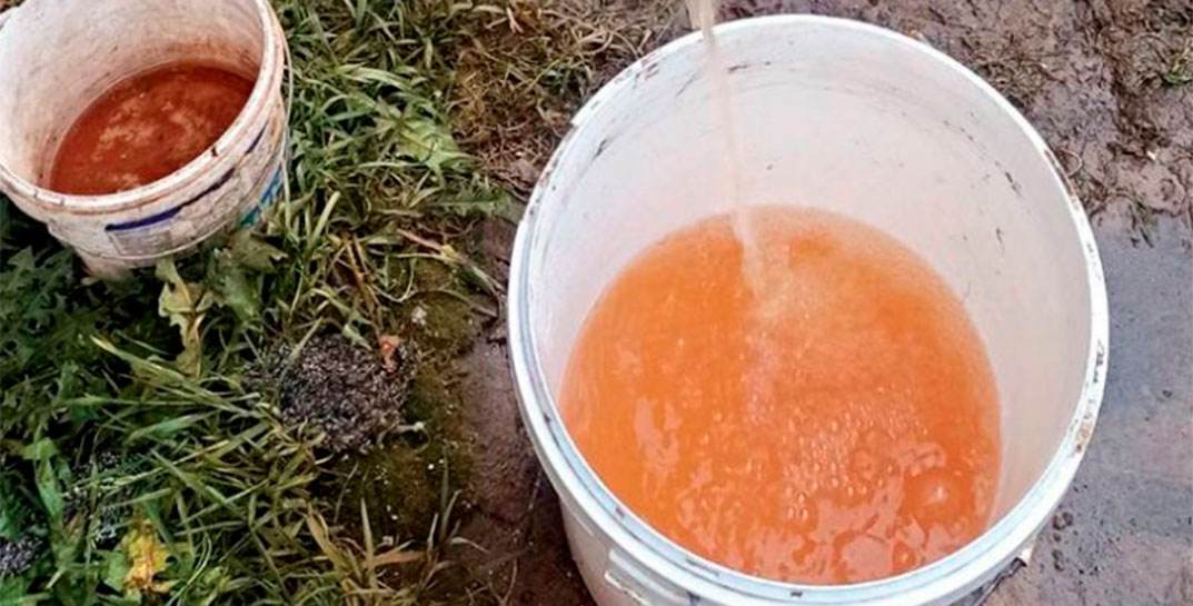 Жители агрогородка под Могилевом: мы устали бороться с «кока-колой» из-под крана