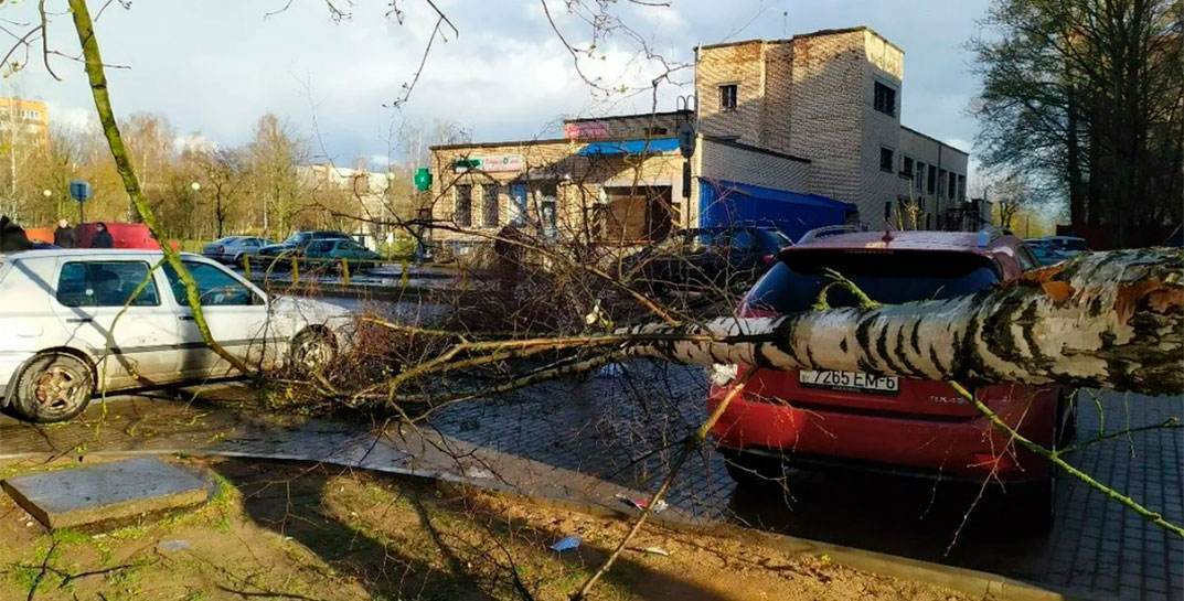 20 октября в Могилеве мокро, холодно, облачно — и сильный ветер