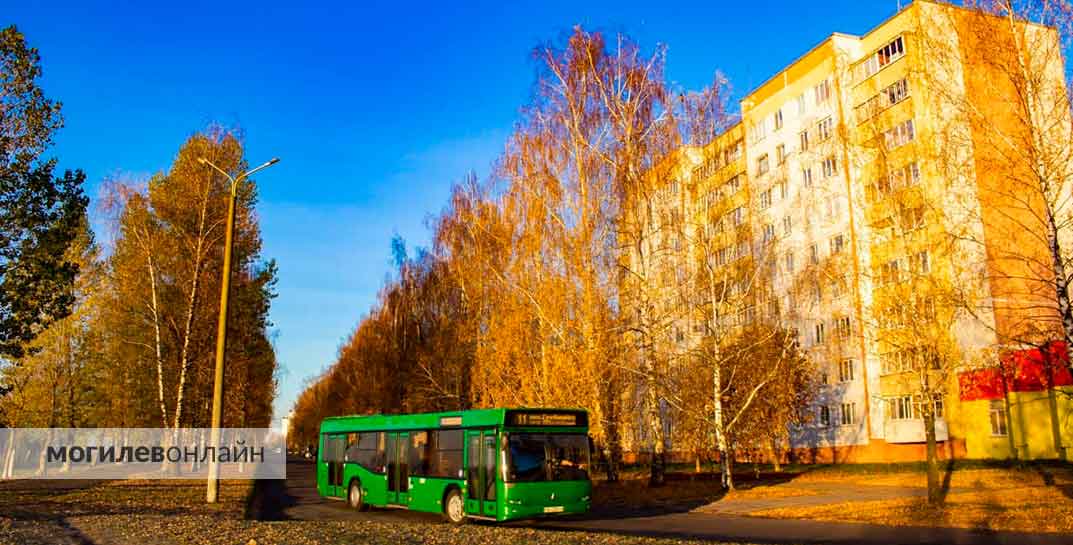 Золотой октябрь продолжается. Погода в Могилеве на четверг