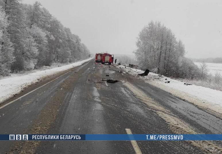 Страшная авария в Минской области из-за всесезонной резины: микроавтобус и фура в кювете, водитель микроавтобуса погибла на месте