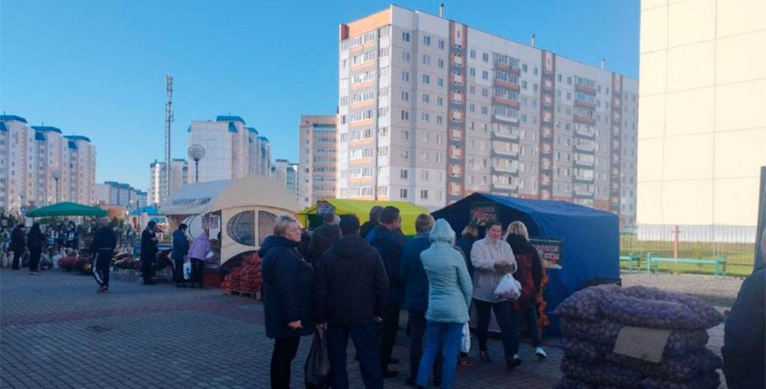 Сезон осенних сельскохозяйственных ярмарок в Могилеве подходит к концу. Смотрите, где в ближайшие выходные в последний раз развернутся торговые ряды