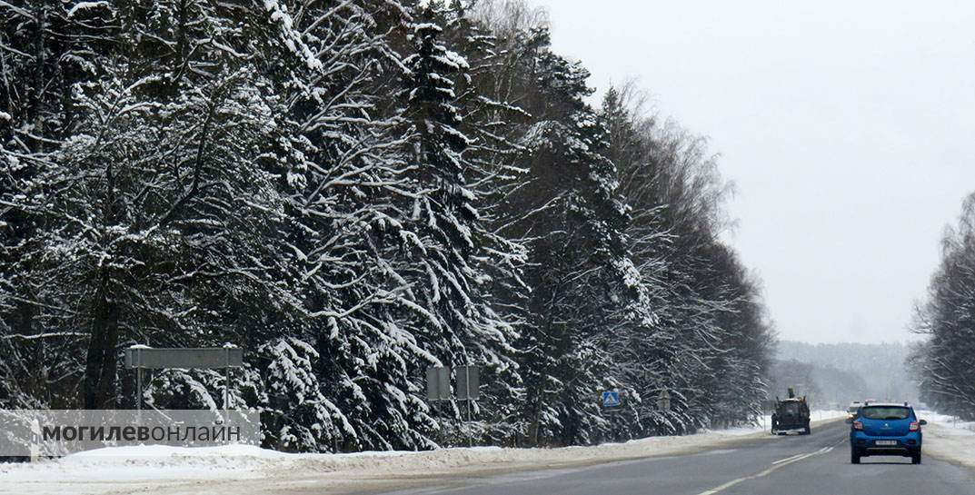 В Могилевской области в воскресенье из-за сильного снегопада нарушалось электроснабжение 347 населенных пунктов