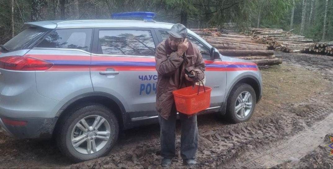 В Чаусском районе 85-летний пенсионер заблудился в лесу — его нашли спасатели