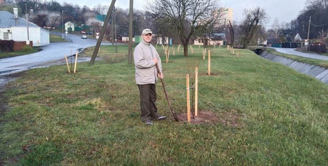 В Могилеве жители Подниколья высадили в своем районе около полусотни деревьев