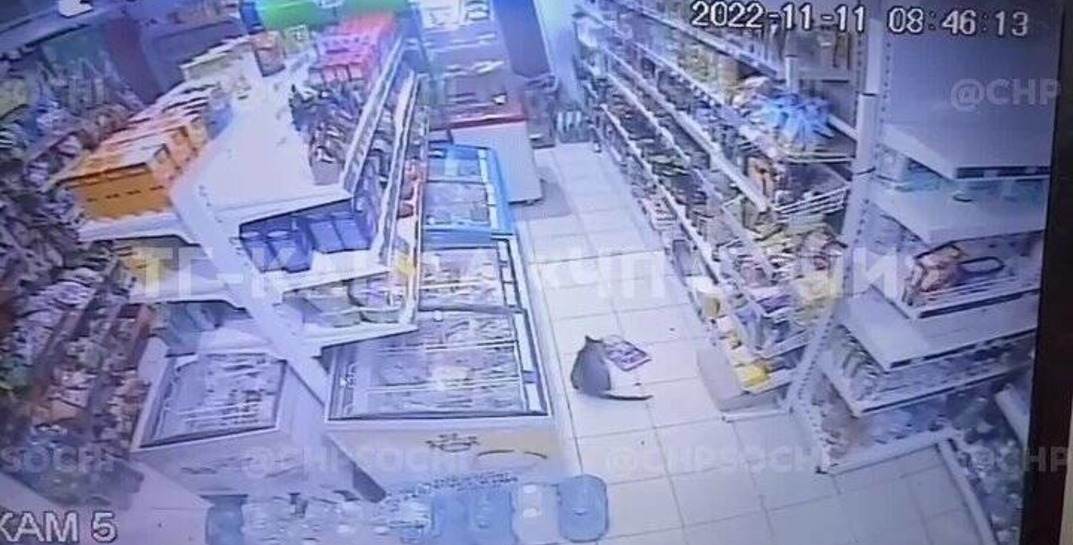 Кража века. В Сочи кот зашёл в продуктовый магазин, взял самую большую пачку корма и спокойно вышел с ней в зубах на улицу