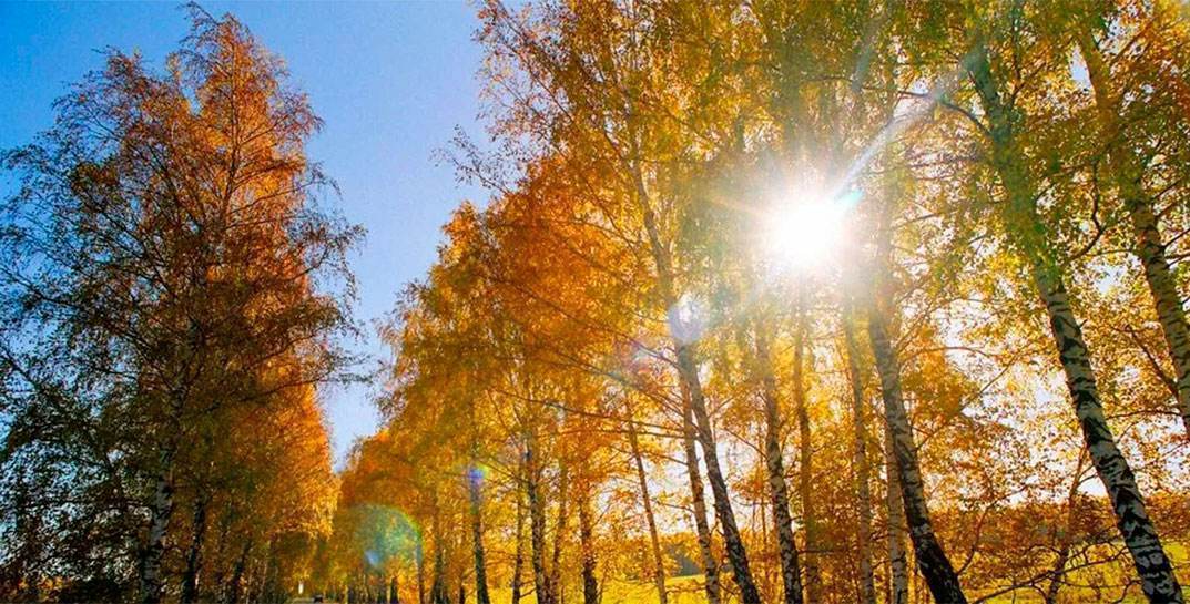 Тепло, сухо и выглянет солнышко. Погода в Могилеве на среду