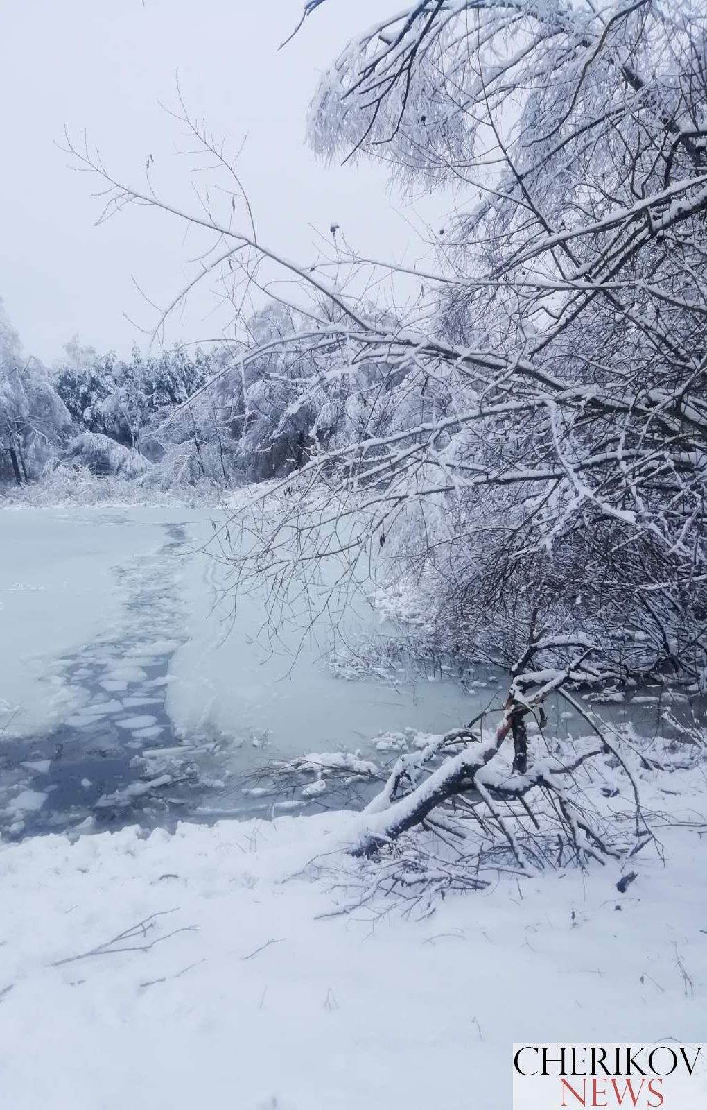 Треснул тонкий лед под ногами: в Чериковском районе утонул мужчина