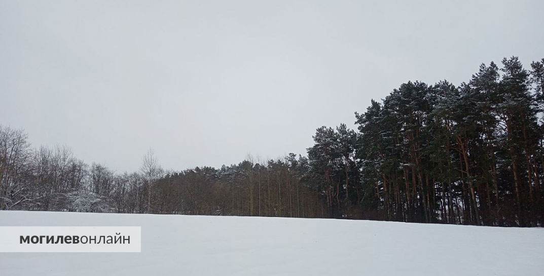 Мороз, туман и снова снег. На 16 декабря синоптики продлили оранжевый уровень опасности