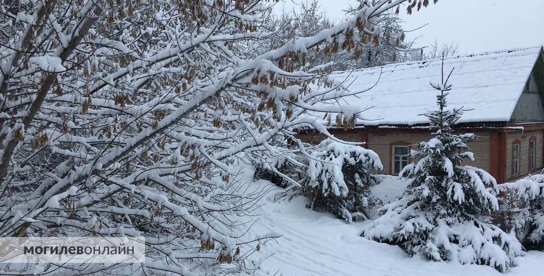 В Могилевской области до конца недели прогнозируются «температурные качели» — от −12 ночью до +6 днем