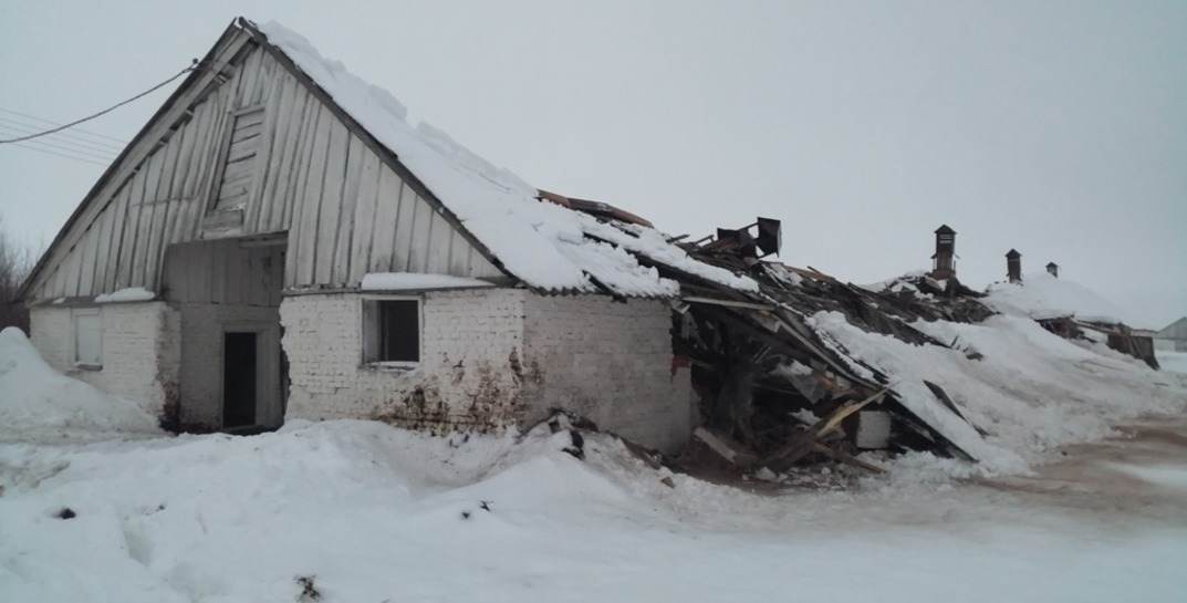 В Могилевской области из-за снега за день обрушились кровли трех зданий