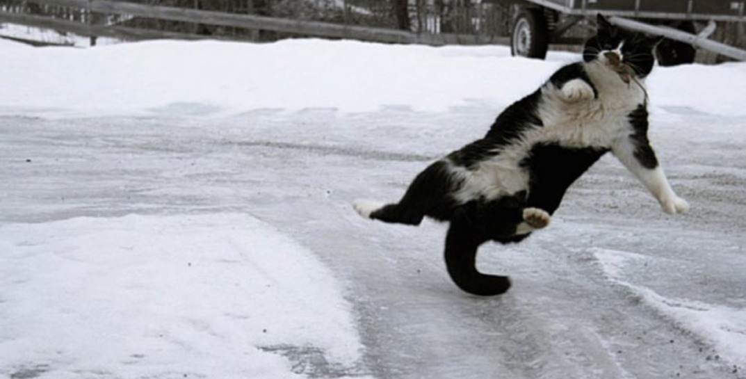 В Могилевской области почти за месяц более 1700 человек пострадали от гололеда