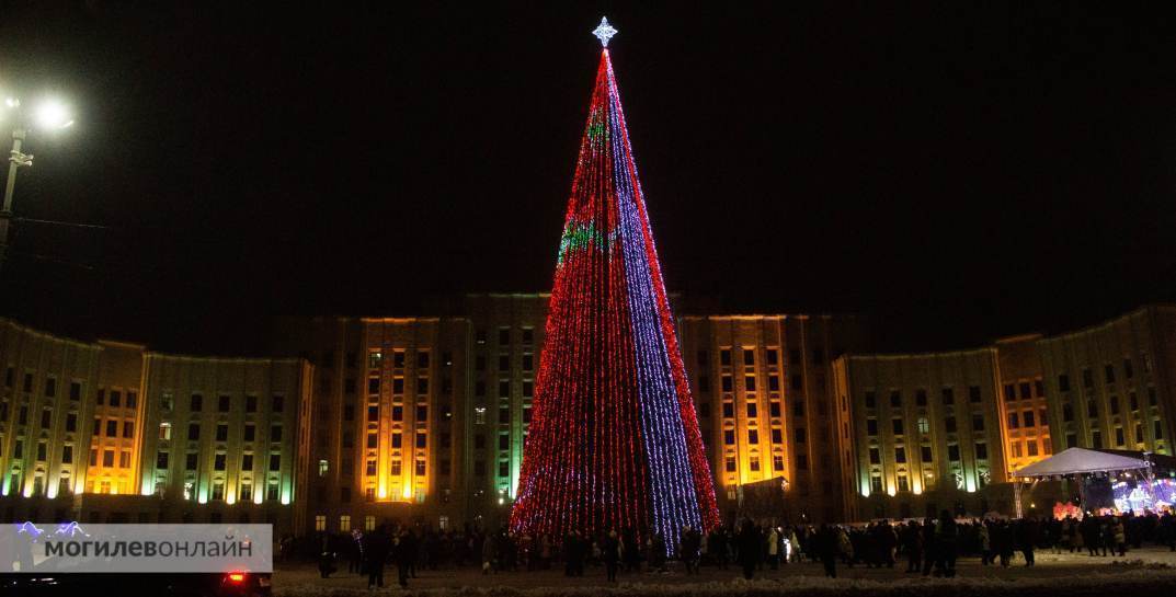 Вчера в Могилеве зажгли главную елку области. Смотрите, как это было