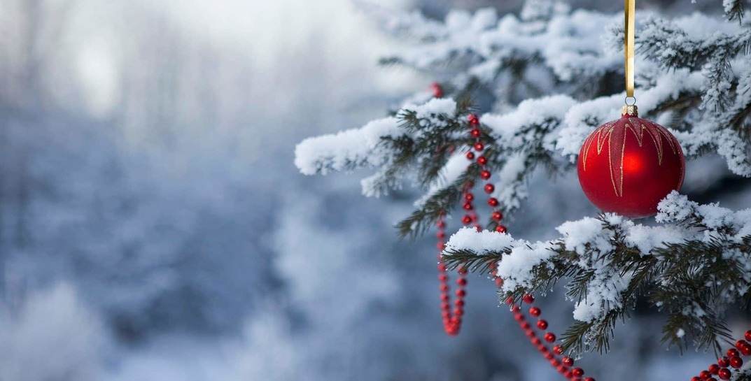 Синоптик Дмитрий Рябов дал прогноз погоды в Могилеве на последнюю неделю 2022-го. Будет ли снег и мороз на Новый год?