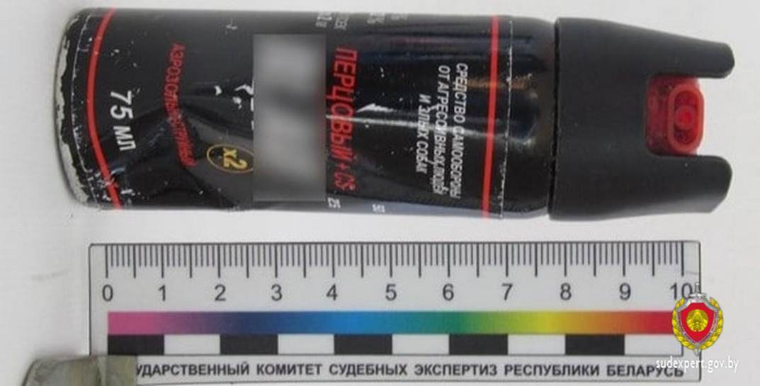 В Горках пьяный мужчина без причины распылил слезоточивый баллончик в лицо незнакомцу — теперь ему грозит до трех лет тюрьмы