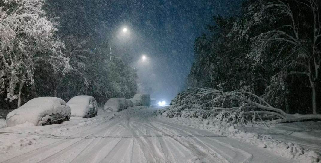 Потепление и снегопад. Погода в Могилеве на 7 декабря