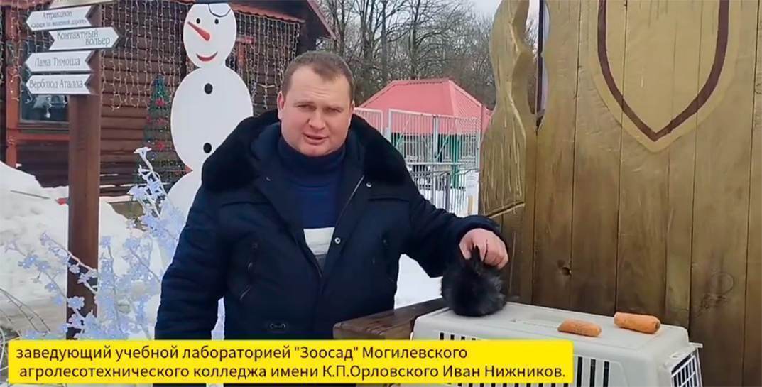 В Могилеве выбрали символ Нового года. Милого черного кролика можно погладить и сфотографироваться с ним на удачу в наступающем году