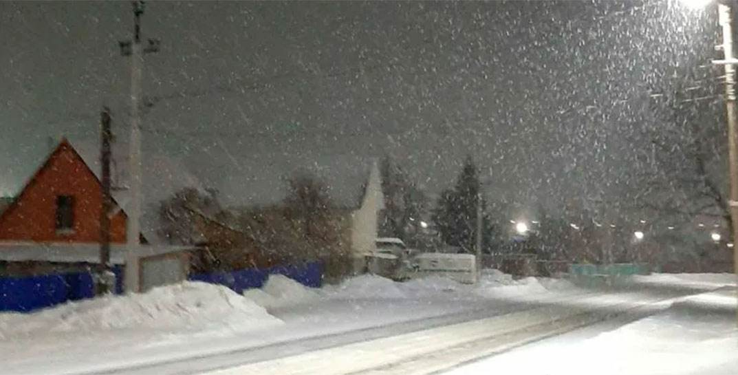 Сложные погодные условия — сильный ветер, гололед, налипание мокрого снега — прогнозируются в начале следующей недели в Могилевской области