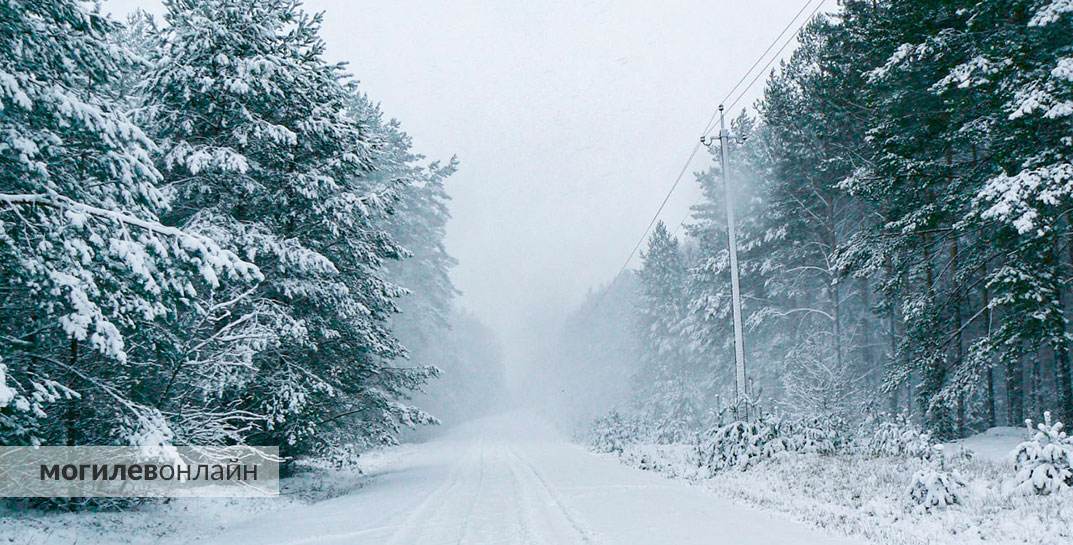 И снова снег… Погода в Могилеве на 15 декабря