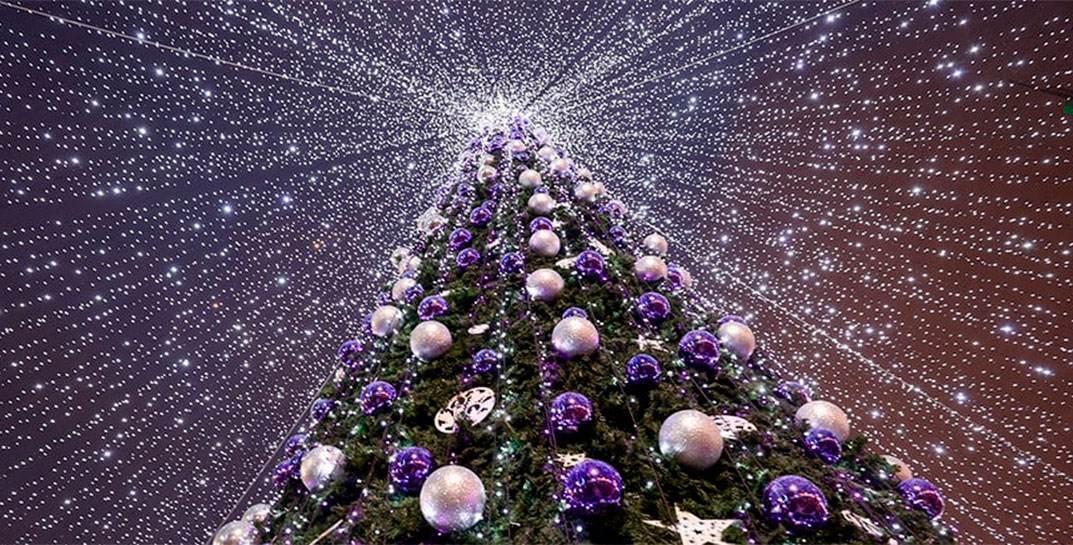 Мюзикл, караоке со звездами и церемония зажжения огней на главной елке в Могилеве состоятся сегодня