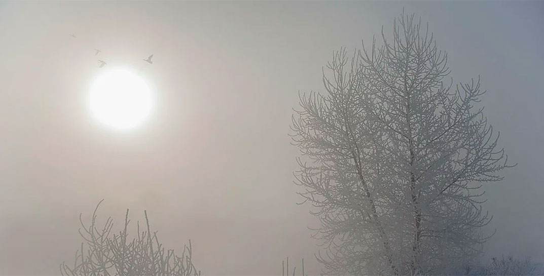 Морозно и туман. Погода в Могилеве на среду, 14 декабря