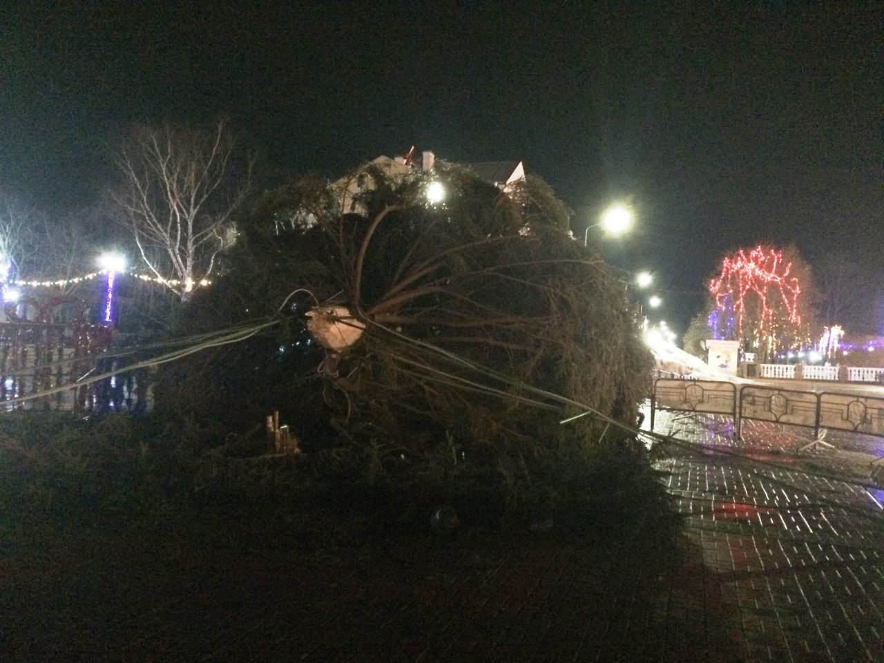 В Полоцке в первый же день нового года упала главная елка города