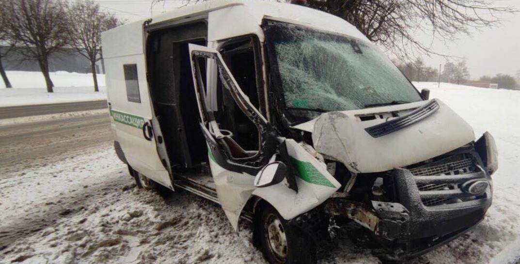 Стали известны подробности ДТП в Могилеве, где инкассаторская машина врезалась в дерево — пострадал один человек