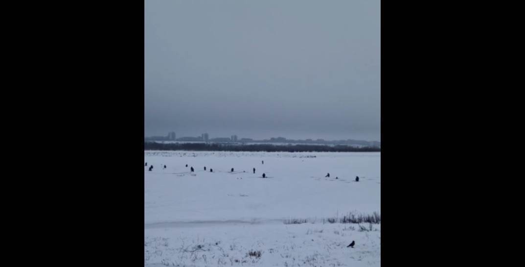 Посмотрите, сколько рыбаков сегодня вышли на лед на Фатинский залив в Могилеве
