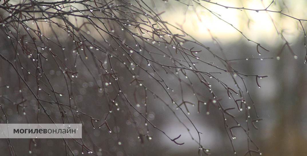 Сбудутся ли апокалиптические прогнозы? Погода в Могилеве на понедельник, 2 января