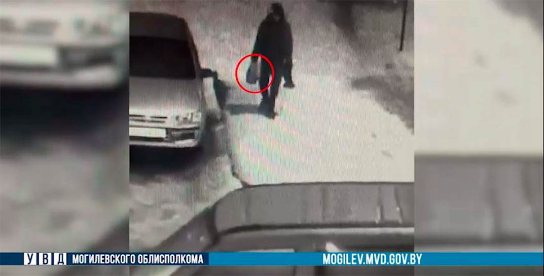 Могилевчанин терроризировал автовладельцев серийными кражами из автомобилей