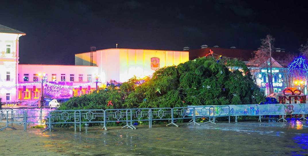 В Полоцке в первый же день нового года упала главная елка города