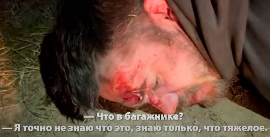 В Могилевском областном суде слушается одно из самых резонансных дел последних лет. В обвинении соседствуют статьи за терроризм и государственную измену