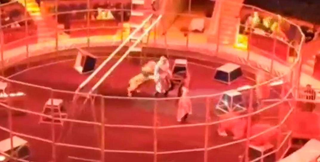 Лев напал на дрессировщика в сочинском цирке