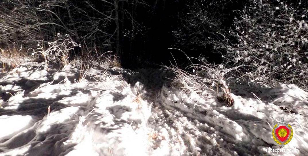 В Витебске 34-летняя женщина искала закладку и замерзла насмерть в парке