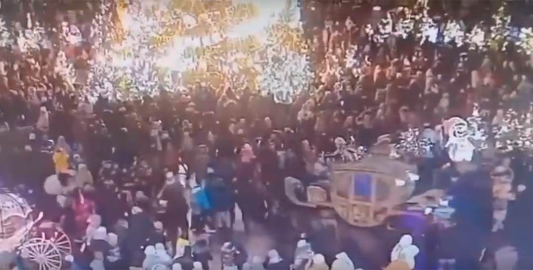 Пьяный житель Санкт-Петербурга на оживленной площади залез на запряженную в карету лошадь, животное испугалось и понесло в толпу